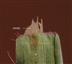  Ligule